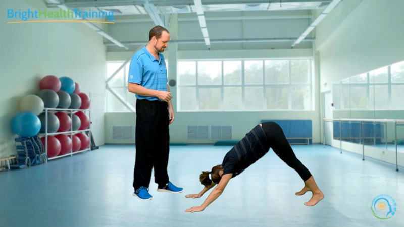 Integrating Movement Therapy - Lesson - Flexion Pattern Spine Integrating Movement Therapy - Lesson - Flexion Pattern Spine